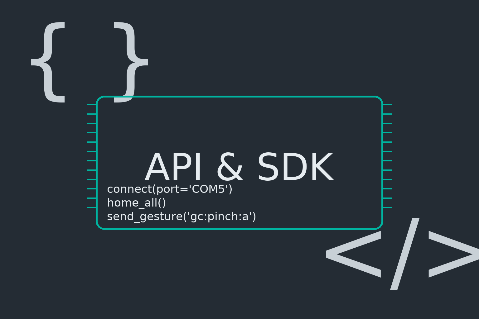 API & SDK